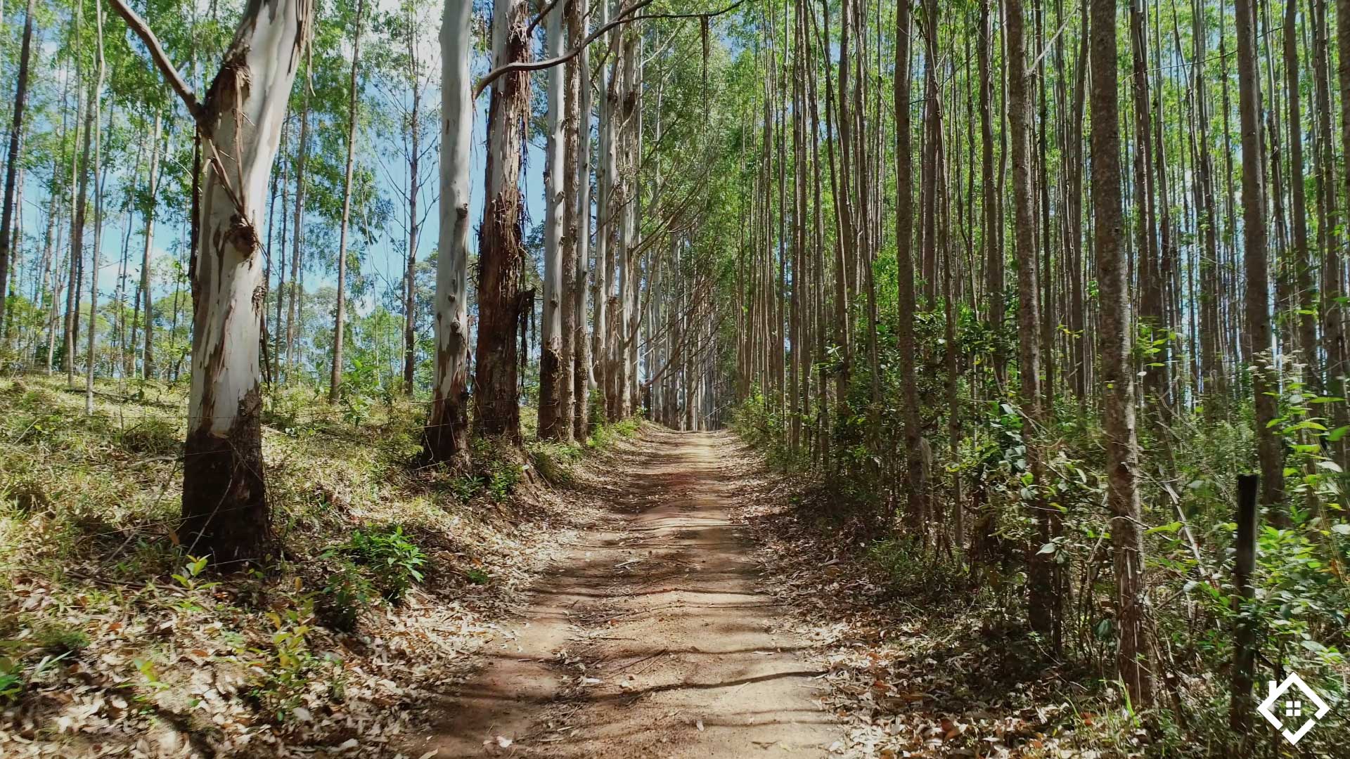 São Gonçalo do Bação, Minas Gerais 35450-069, ,Sítio,Para Venda,1001