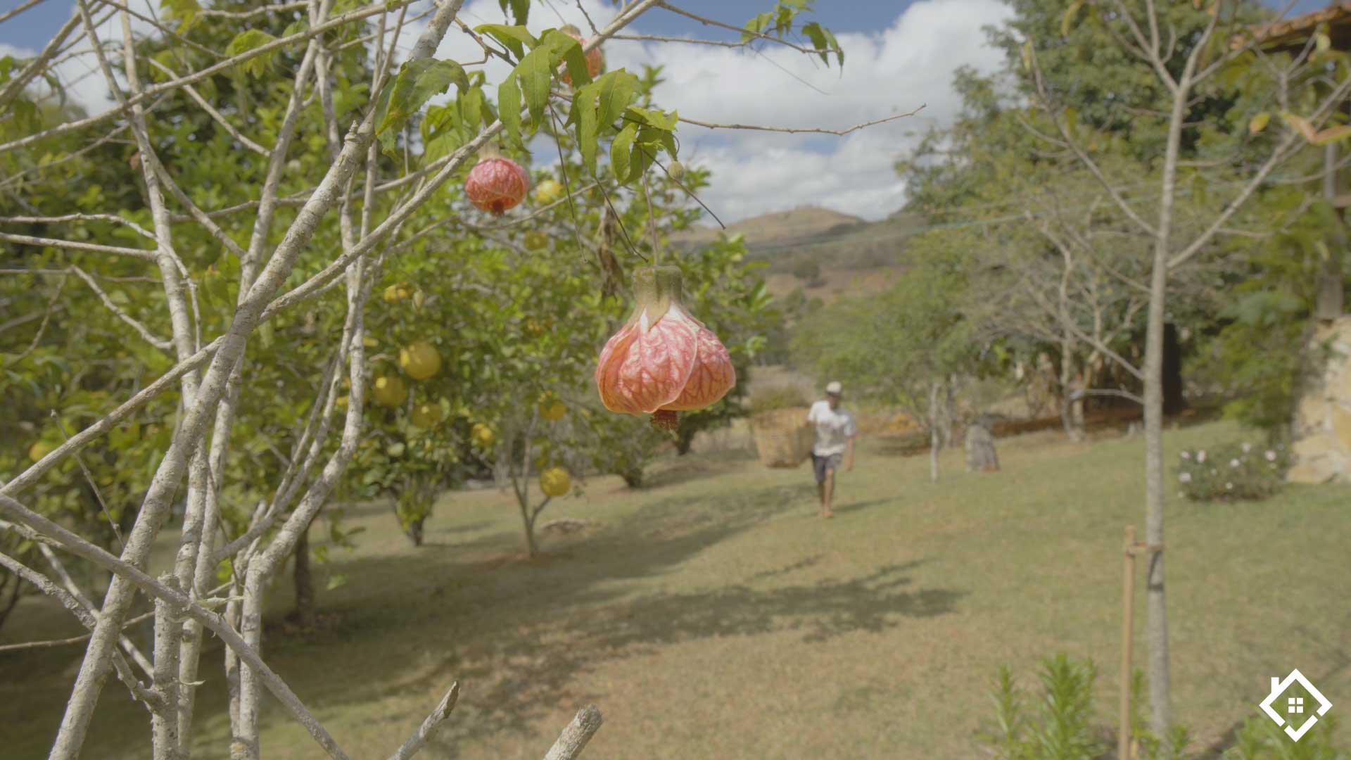 São Gonçalo do Bação, Minas Gerais 35450-069, ,Sítio,Para Venda,1001