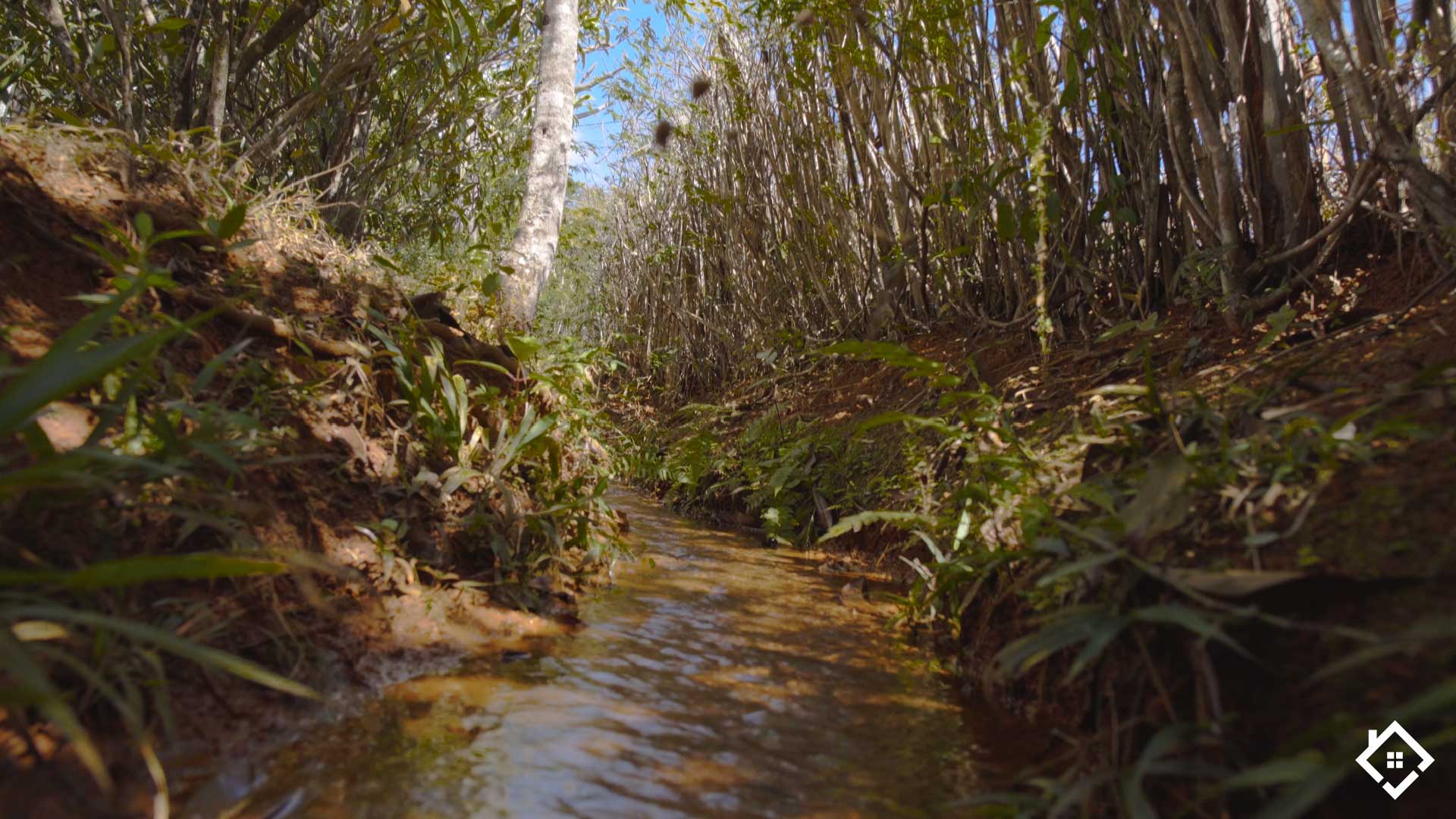 São Gonçalo do Bação, Minas Gerais 35450-069, ,Sítio,Para Venda,1001