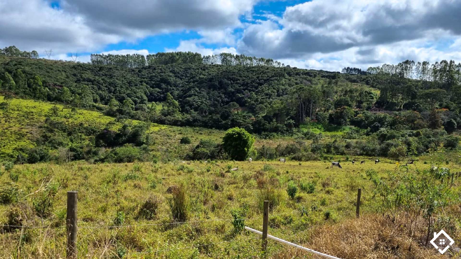 Minas Gerais, ,Fazenda,Para Venda,1004