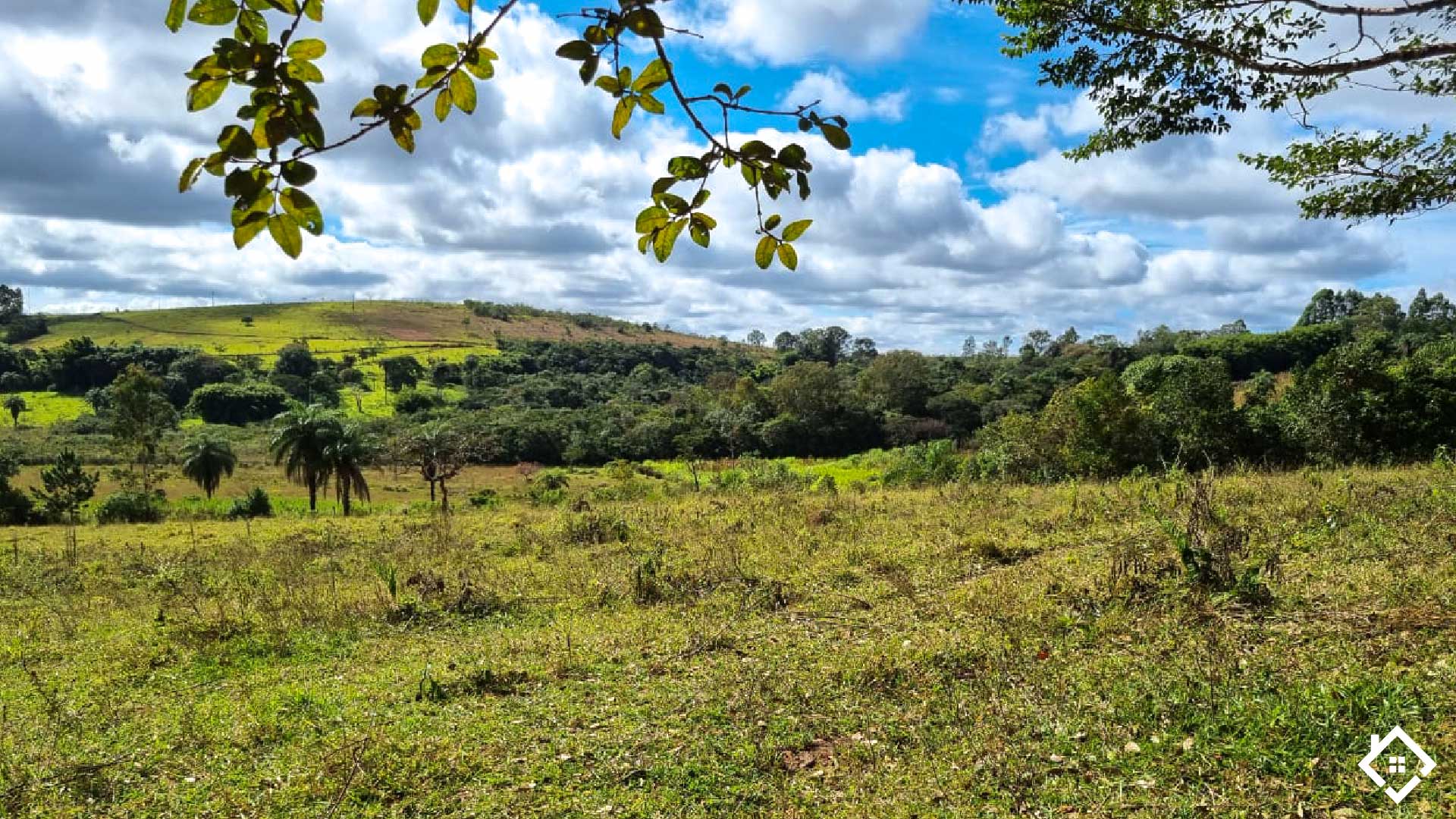 Minas Gerais, ,Fazenda,Para Venda,1004