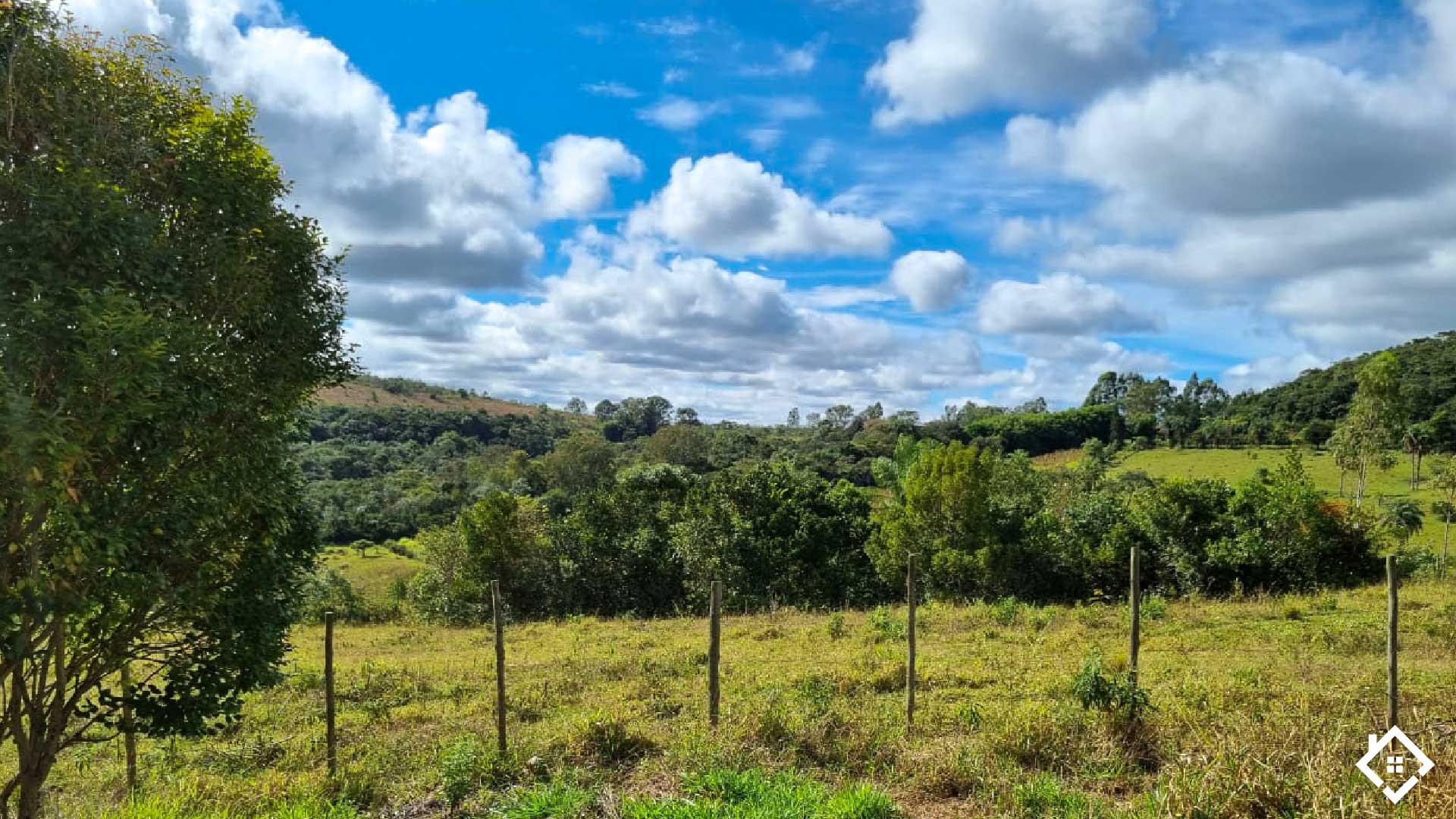 Minas Gerais, ,Fazenda,Para Venda,1004