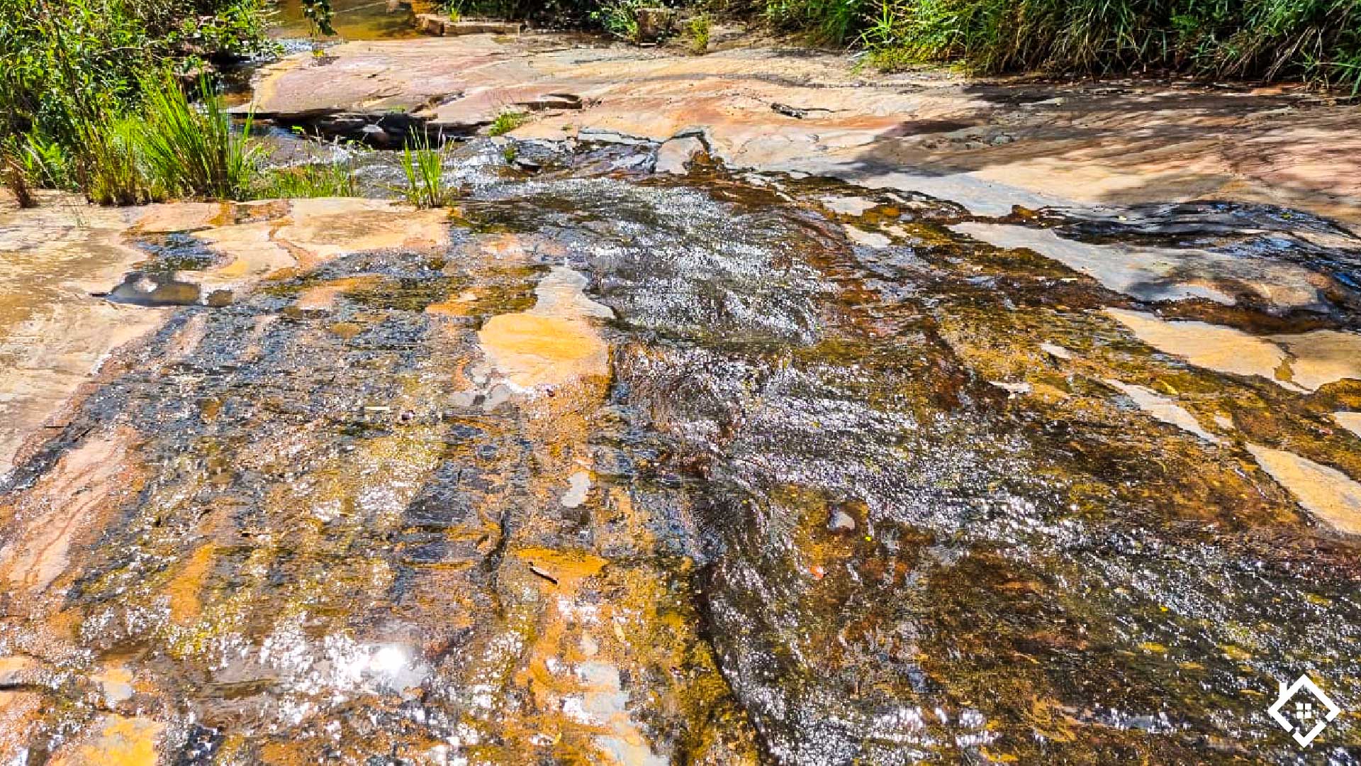 Minas Gerais, ,Fazenda,Para Venda,1004