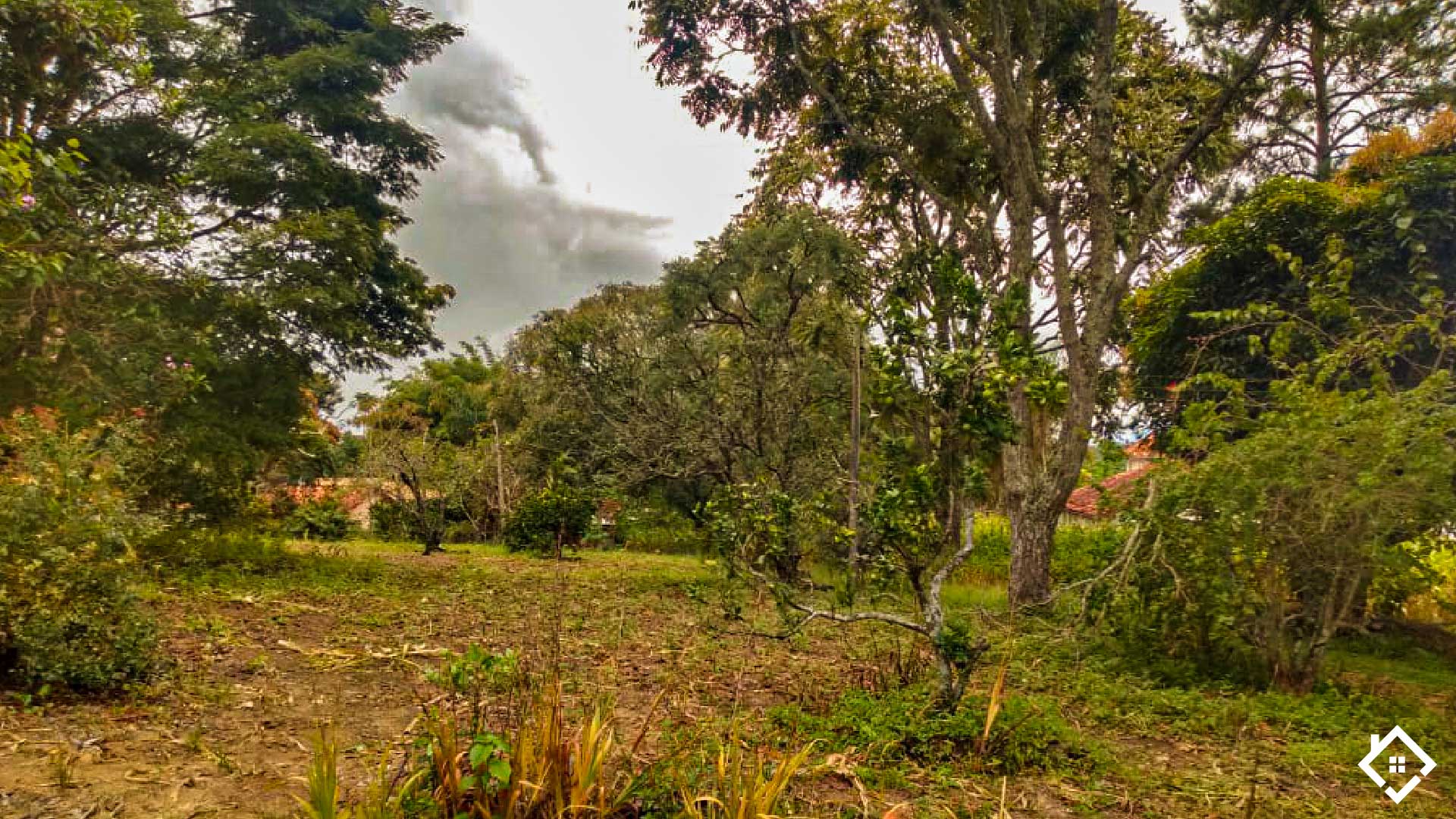 Minas Gerais, ,Sítio,Para Venda,1005