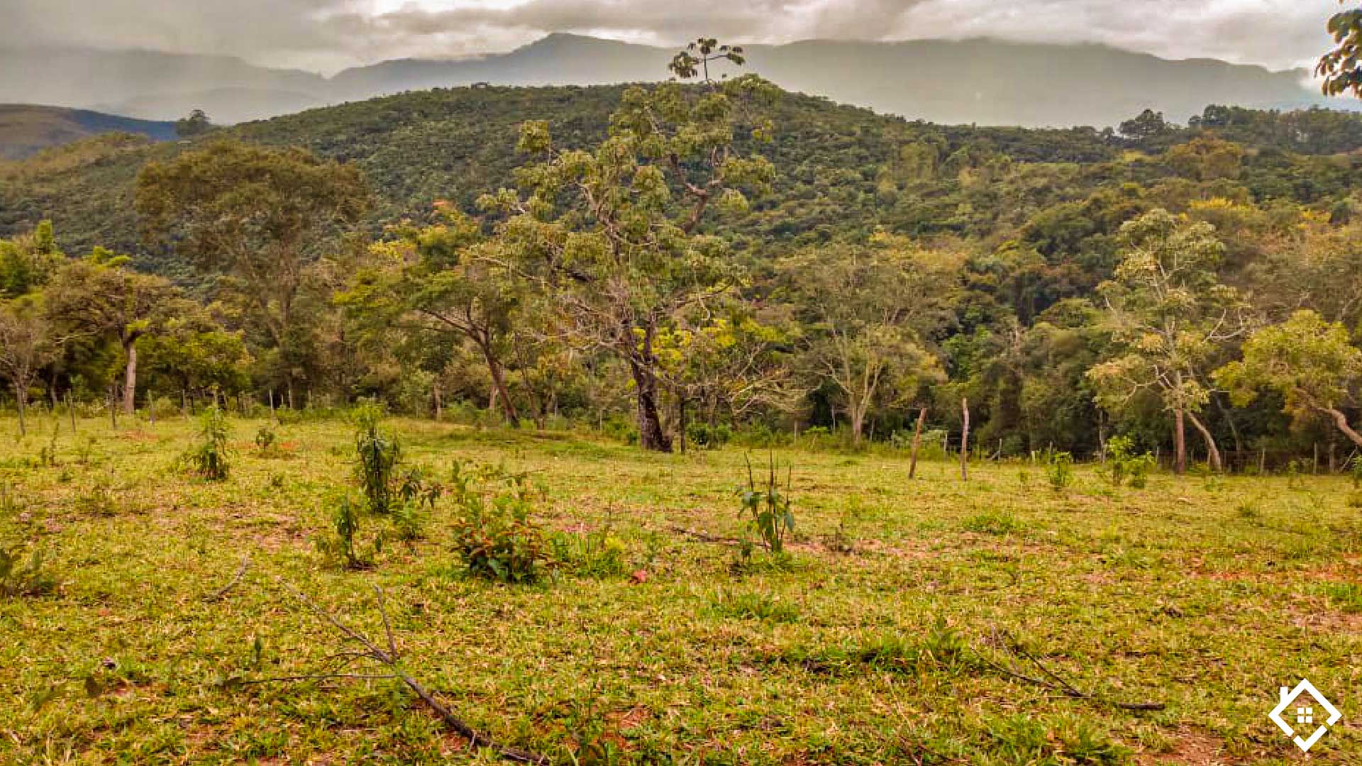 Minas Gerais, ,Sítio,Para Venda,1005