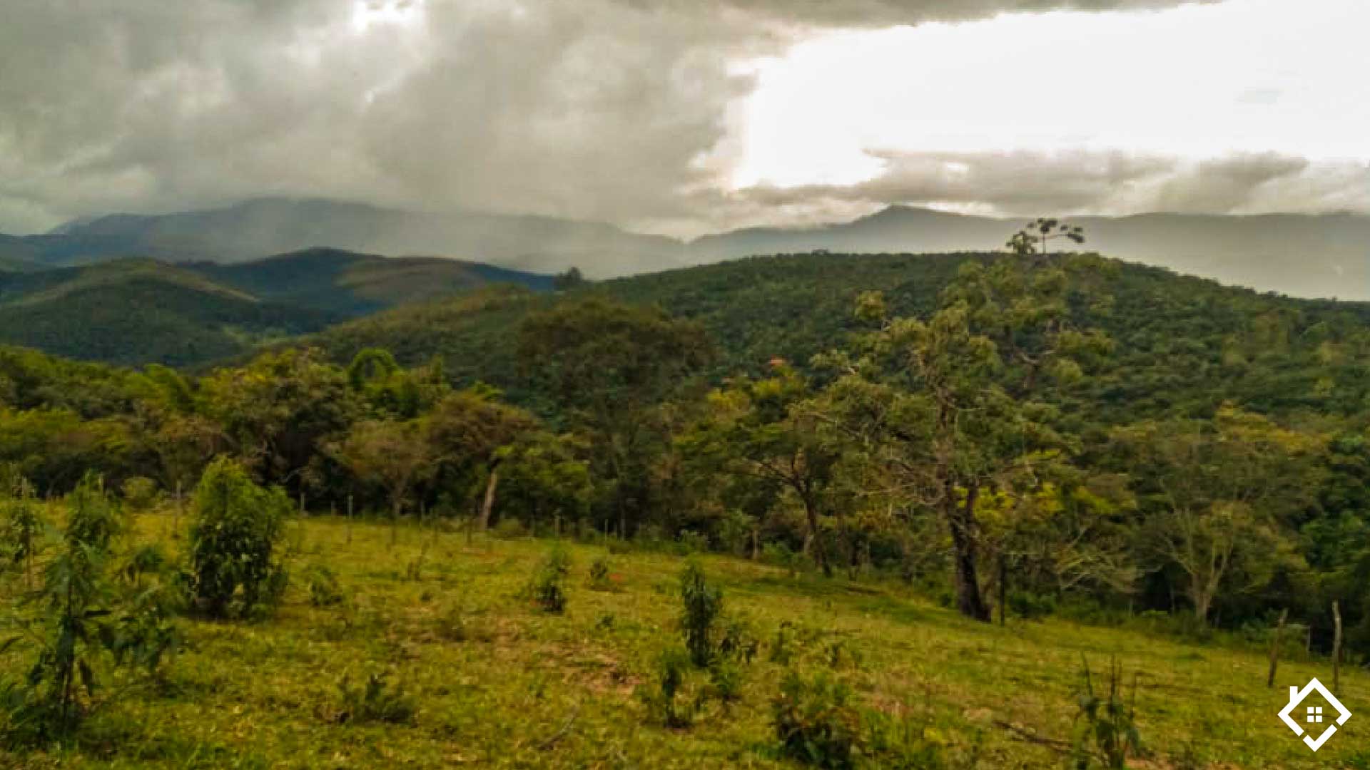 Minas Gerais, ,Sítio,Para Venda,1005