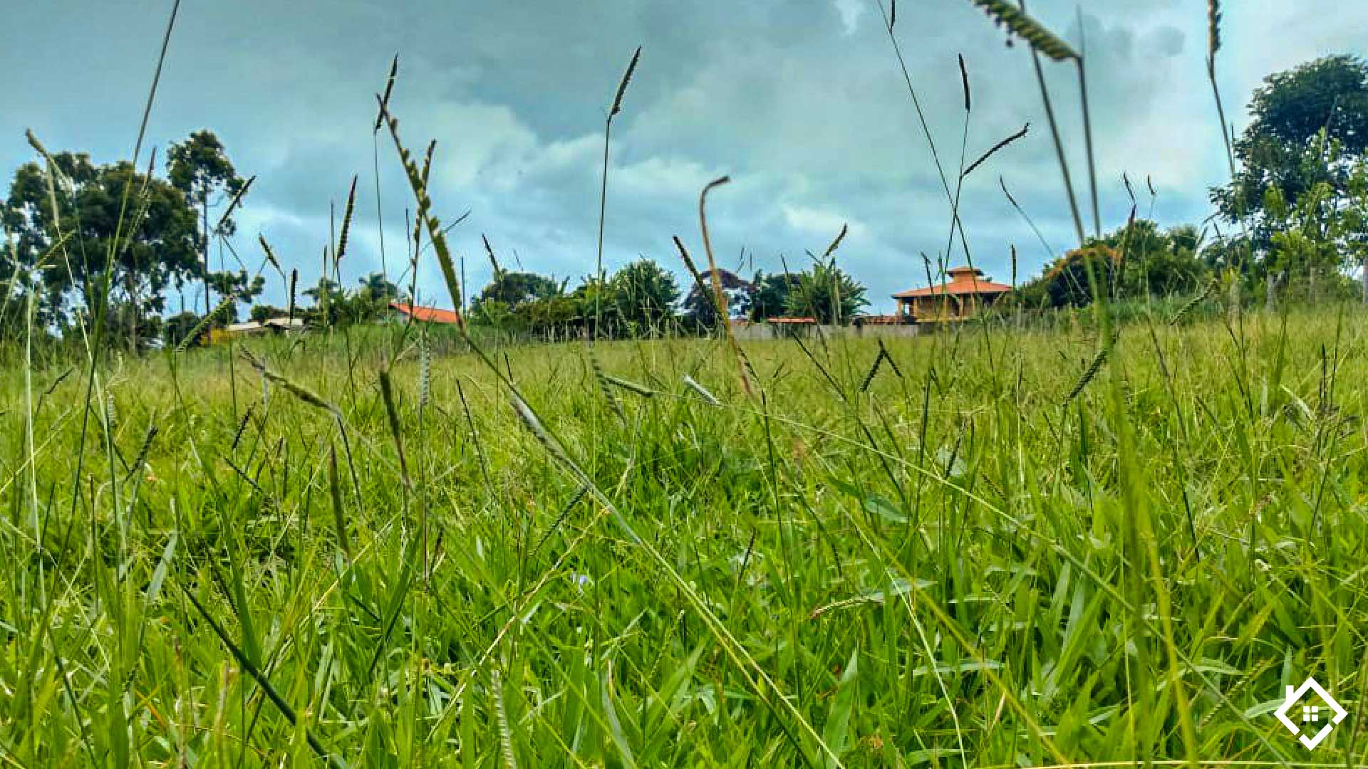 Minas Gerais, ,Sítio,Para Venda,1005