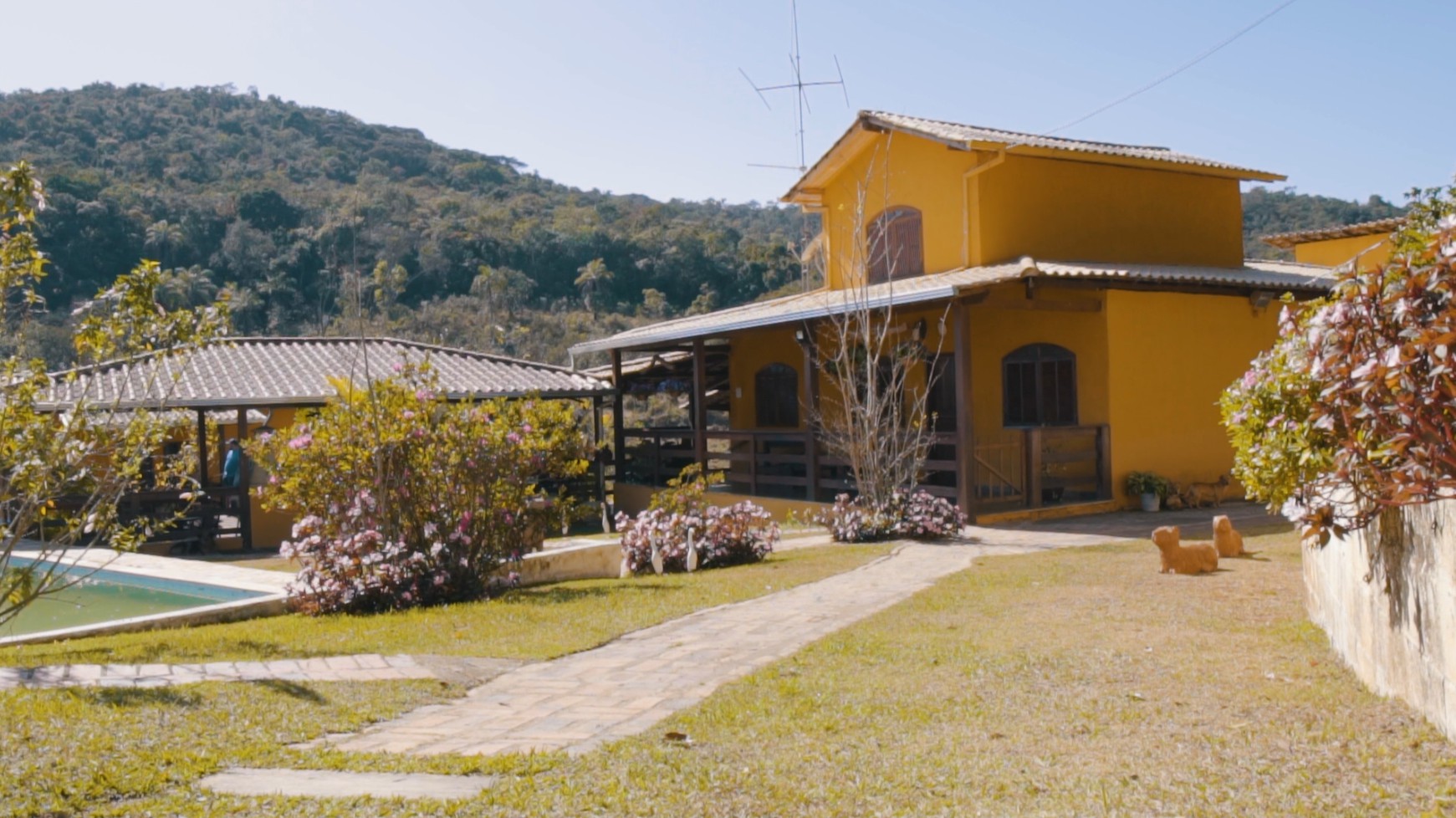 Minas Gerais, ,Fazenda,Para Venda,1008